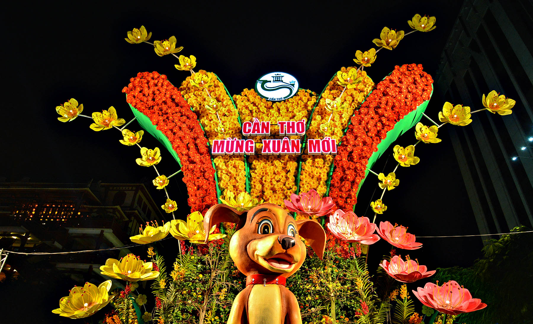 Khám phá đường hoa “Cần Thơ mừng Xuân mới”